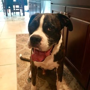 Meet your Posher, Nnicholas